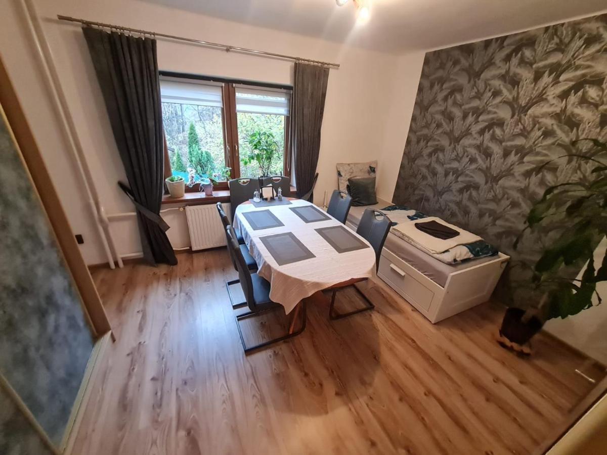 Malebny Rodinny Dum V Prirode, Sauna, Bbq Trinec Exteriör bild
